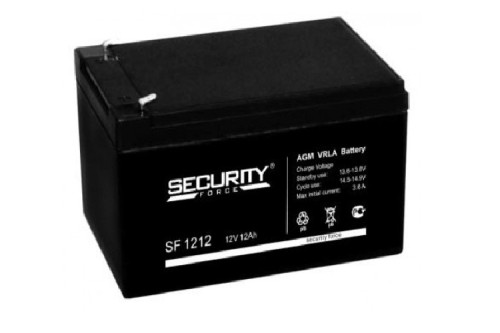 SF 1212 Security Force